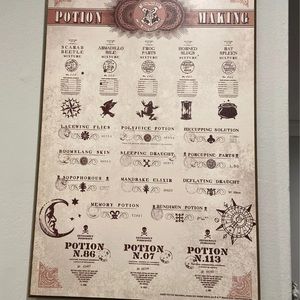 Harry Potter Potion canvas